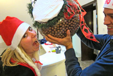 Конкурс Maltesers