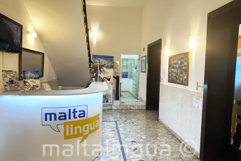 Ресепшн школы английского языка Мальта