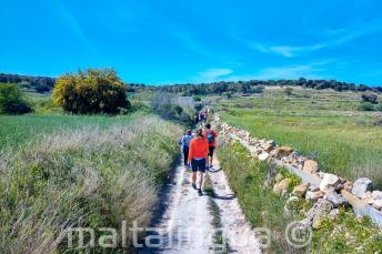Группа студентов английского идет по сельской местности на Мальте