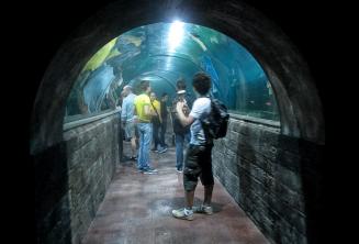 Студенты в туннеле аквариума